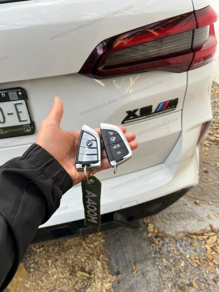 Llaves con Chip Polanco